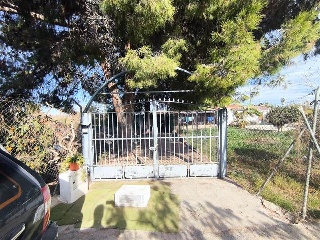 Rincon Merino 3