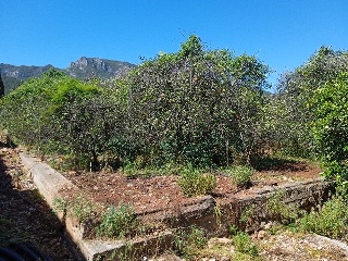 Partida Safarechot 3