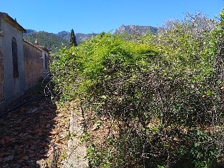 Partida Safarechot 4