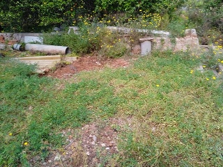 Partida Safarechot 7