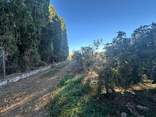 Partida Safarechot 13