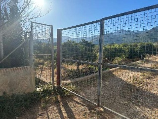 Partida Safarechot 14