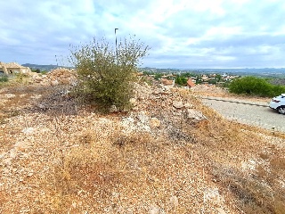 Seda 7