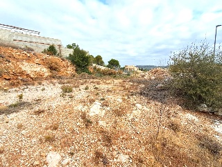 Seda 9