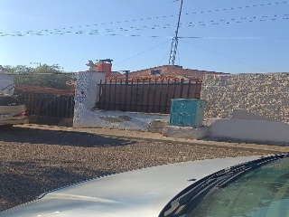 Mirlo 3