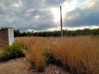 Carxol. Vilallonga Del Camp 3