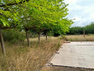 Carxol. Vilallonga Del Camp 5