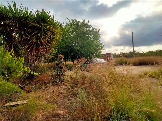 Carxol. Vilallonga Del Camp 6