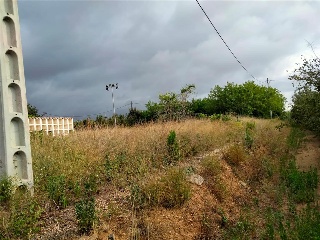 Carxol. Vilallonga Del Camp 8