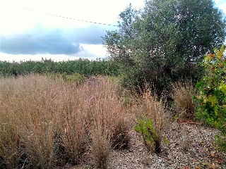 Carxol. Vilallonga Del Camp 10