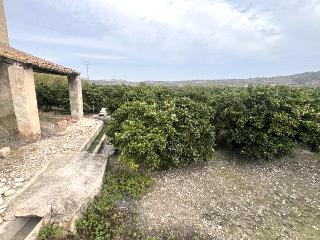 Clot De La Torre 2