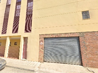 Ciruelo 2
