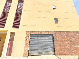 Ciruelo 3