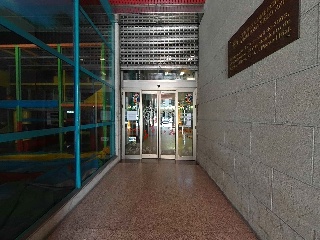 Damas Apostolicas-San Ped 4