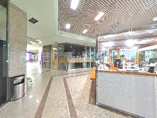 Damas Apostolicas-San Ped 6