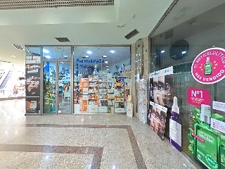 Damas Apostolicas-San Ped 7