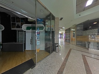 Damas Apostolicas-San Ped 8