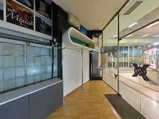 Damas Apostolicas-San Ped 12