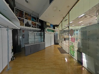 Damas Apostolicas-San Ped 14