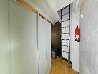 Damas Apostolicas-San Ped 19