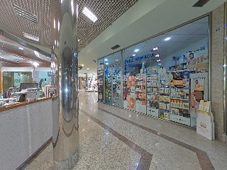 Damas Apostolicas-San Ped 24