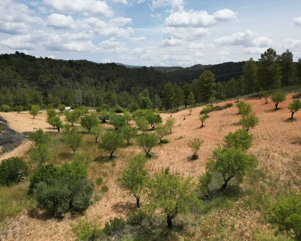 Vallejo De La Tia Casta