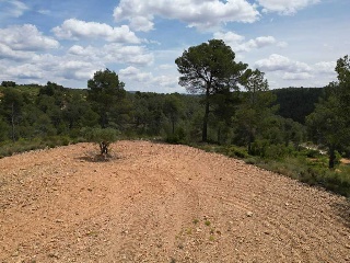 Vallejo De La Tia Casta 9