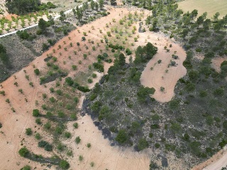 Vallejo De La Tia Casta 16