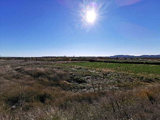 Pisos banco Pobla de Vallbona (la)