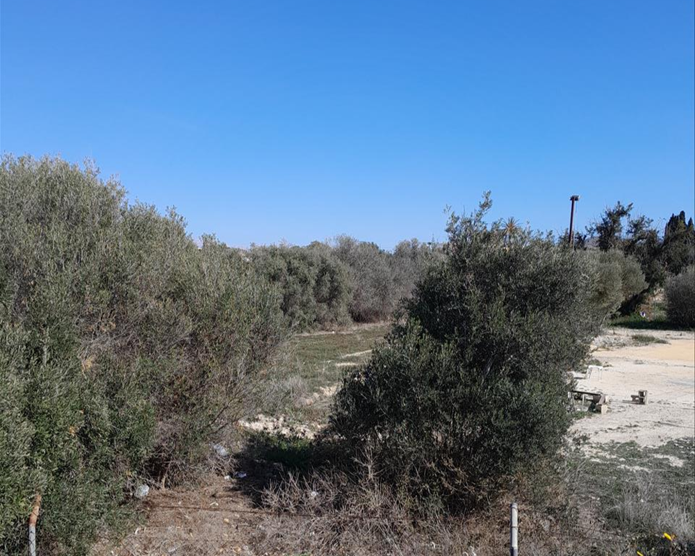 BARBERES SUR