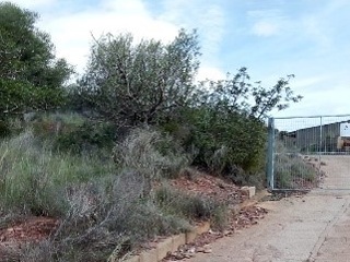 Corral Blanch Polígono 13 Parcela 761 2