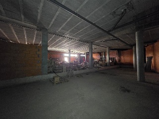 PENELA 5