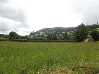 2. Parcela 4