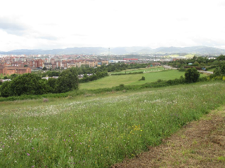 2. Parcela 5