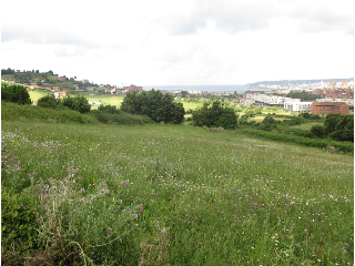 2. Parcela 6