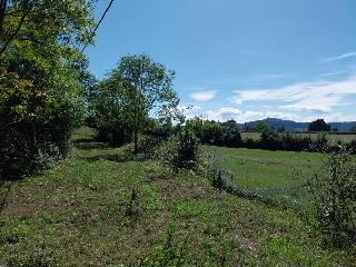 DE LES VEGUES-GRANDA 2