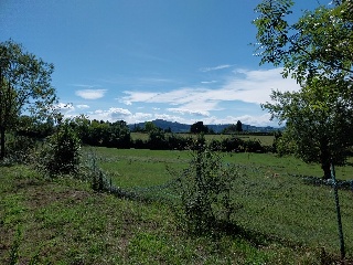 DE LES VEGUES-GRANDA 3