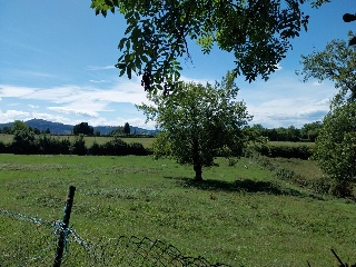 DE LES VEGUES-GRANDA 4