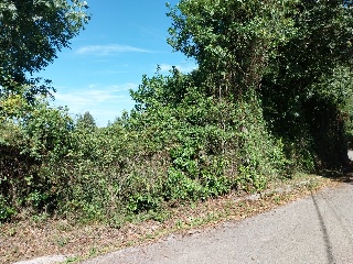 DE LES VEGUES-GRANDA 8