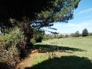 DE LES VEGUES-GRANDA 9