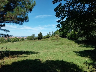 DE LES VEGUES-GRANDA 10