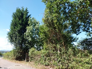 DE LES VEGUES-GRANDA 11