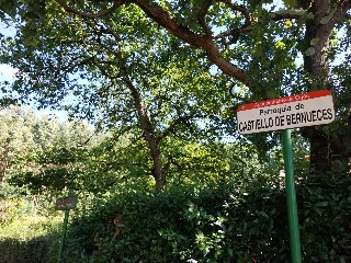 DE LES VEGUES-GRANDA 12