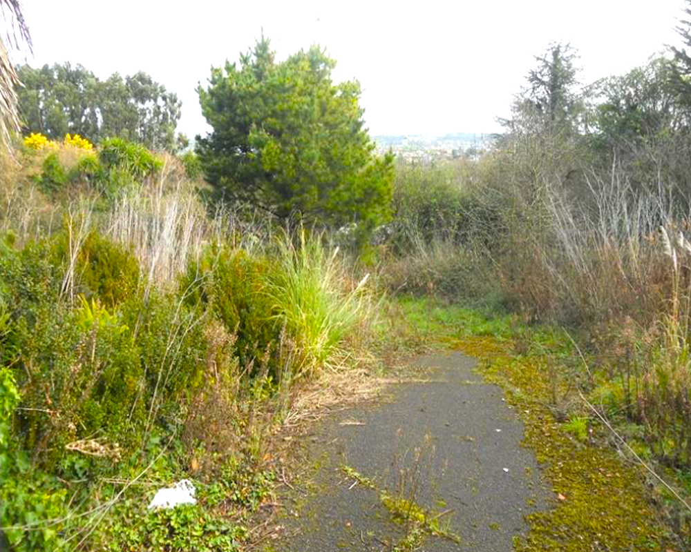 DE LA CORIA A SANTURIO