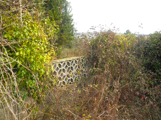 DE LA CORIA A SANTURIO 3