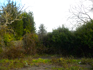 DE LA CORIA A SANTURIO 5