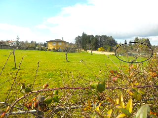 DE LA CORIA A SANTURIO 6