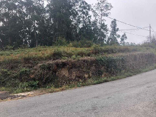 CASTRO . Polígono 26 Parcela 5