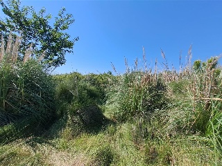 Pisos banco Chilches/Xilxes