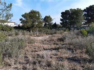 Otros en venta en Mont-roig Del Camp